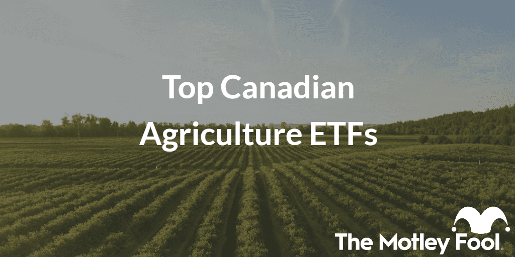 Field of crops with the text “Top Canadian Agriculture ETFs” and The Motley Fool jester cap logo
