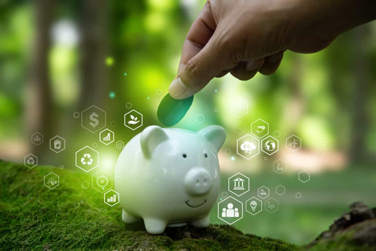 pig shows concept of sustainable investing
